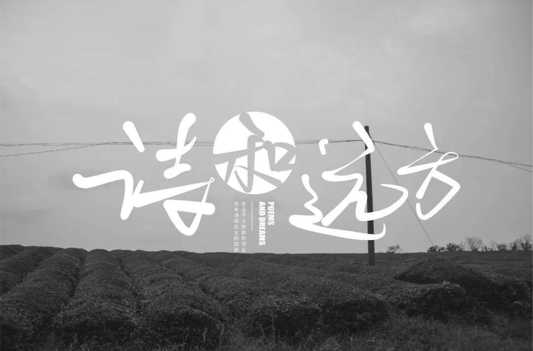 字体帮2253:诗和远方 今日命题:拉跨