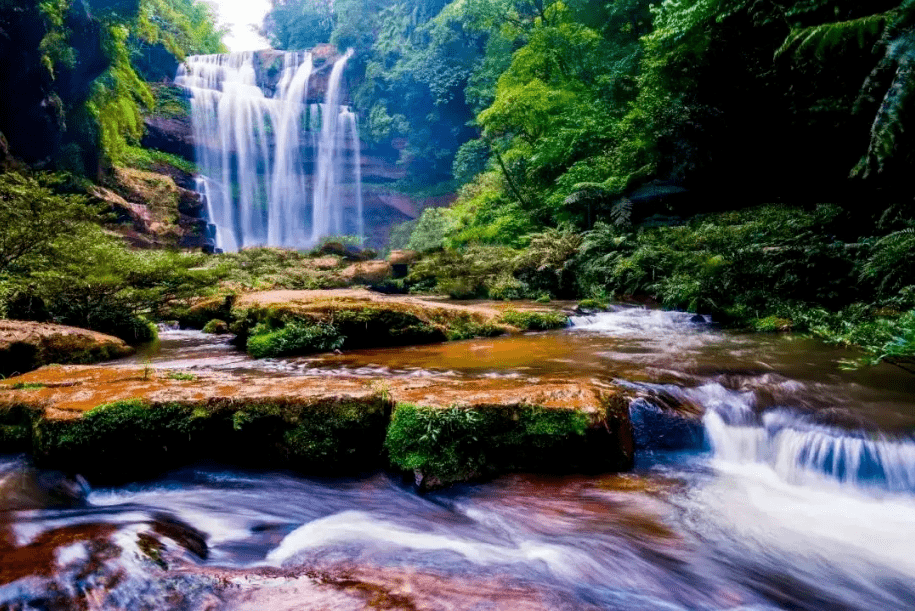 品味遵义·静听时光 | 赤水丹霞,天生丽质难自弃_大自然_中国_桫椤