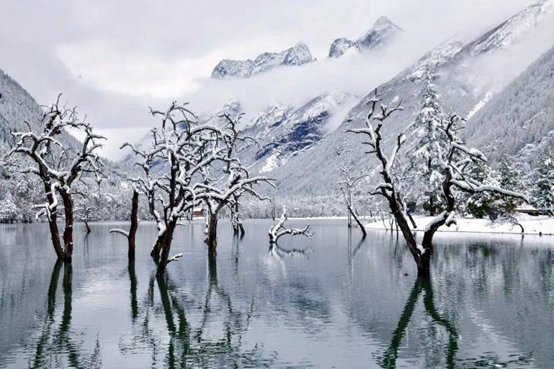 四姑娘山进入春夏交汇的美景时节 林迁忠 杨明秀 膜拜