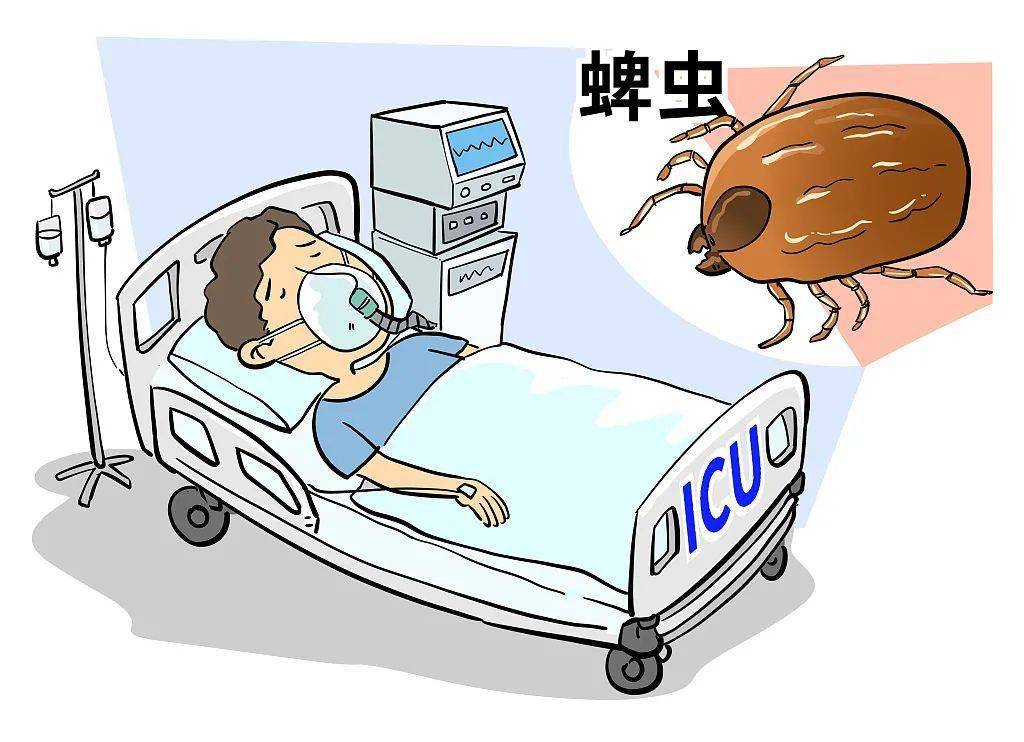 全身武装蜱虫多栖息在树林,灌木丛等自然地区,在这些地方游玩时,建议