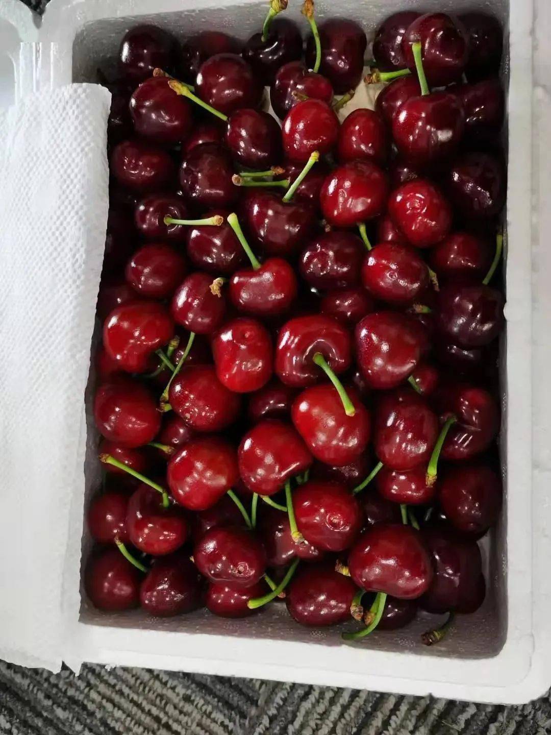 山东大樱桃顺丰冷链产地现摘现发88元3斤精选装净重从枝头直达舌尖26