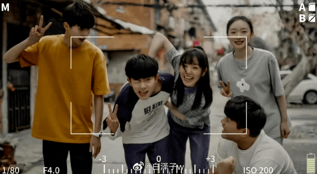 omg | 这么多人都被猫的树拍过了?_猫叔_微博_橙子