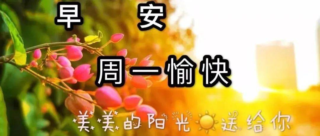 周一早上好祝福图片，早上好祝福语句。梦甜甜夏日清问候 6654