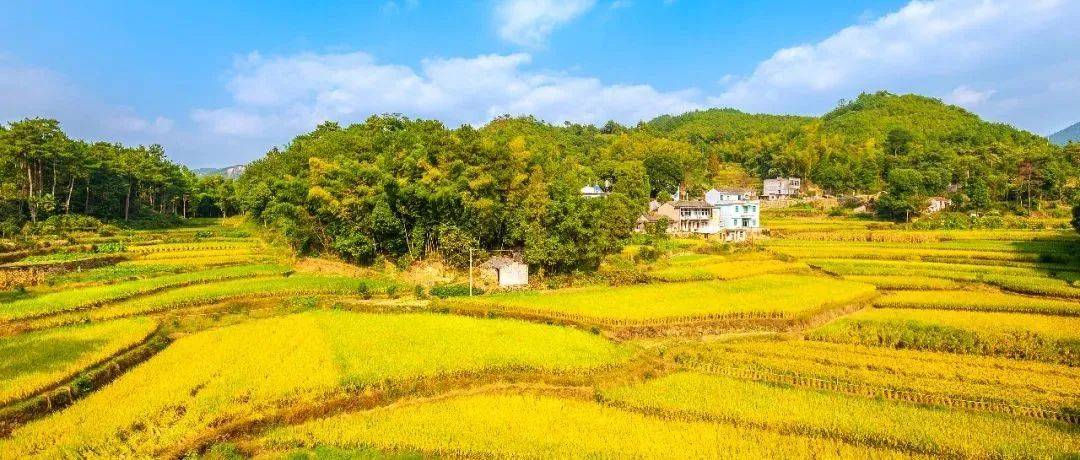 聆听乡土声，伏墨文化音——铜陵一中高一年级《乡土中国》整本书阅读成果展示(三)_文明_社会学_方式