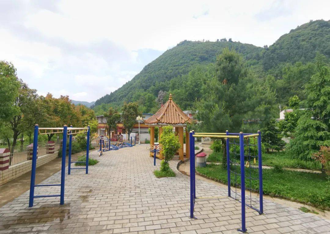 宣威龙场黄村有个"网红"小广场_村民_古树_枝叶