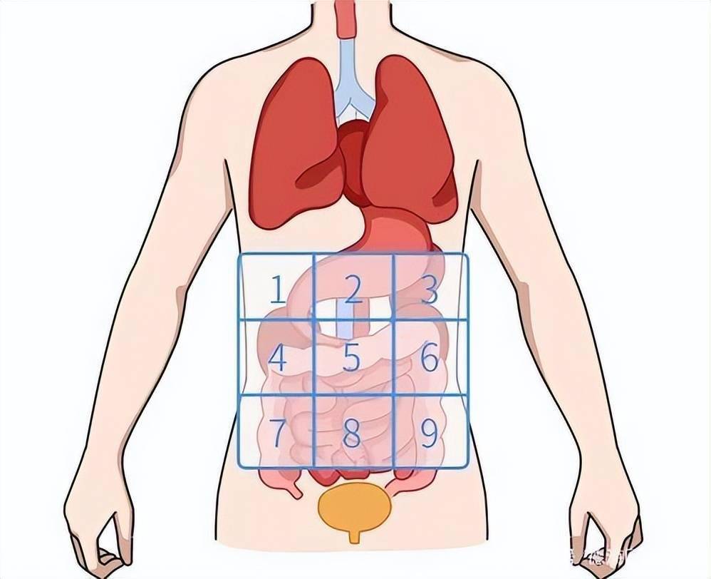 左下侧腹部隐痛的原因_腹部左下侧是什么器官_女性腹部左下侧疼痛