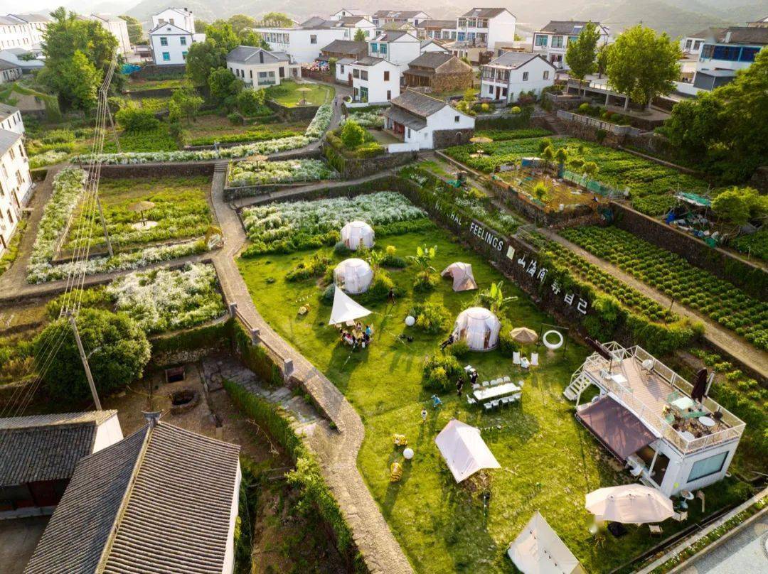 要火宁海的秘境小山村挖到一片海边的绝美花海