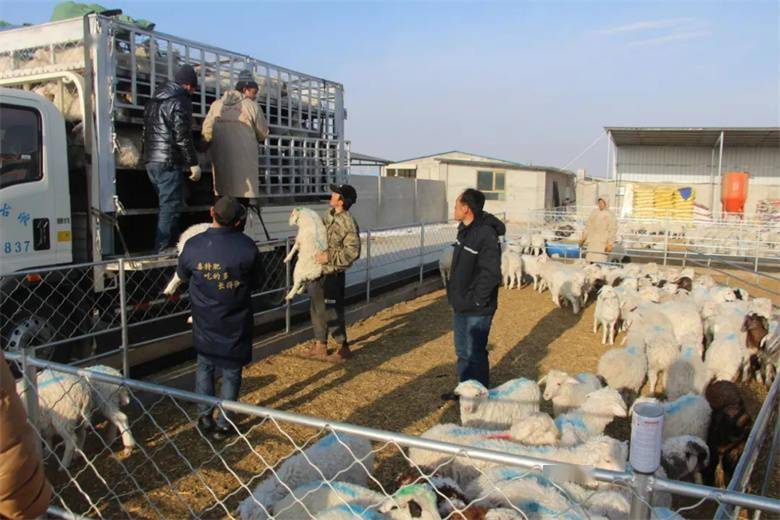 現代農牧產業園區,去年投入5000多萬元建設的,養殖場佔地面積100多畝