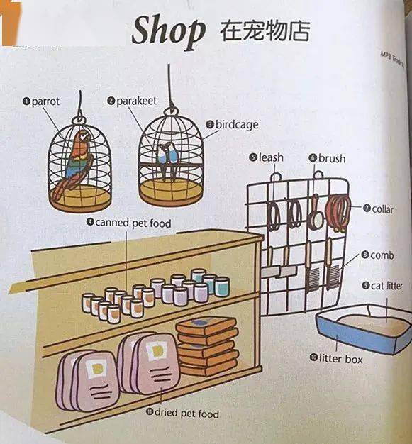 box砂盆dried pet food干饲料pet carrier装宠物的手提笼子scratching