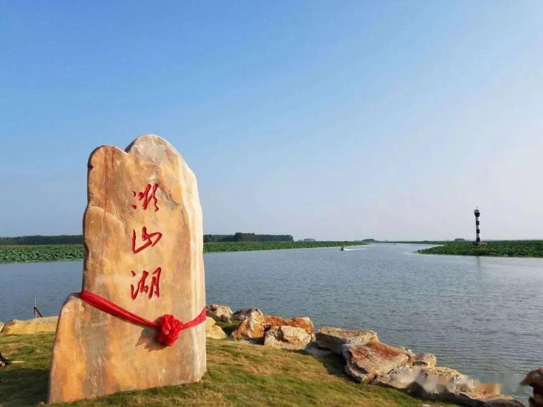 滕州微山湖红荷湿地不负春光不负卿湿地美景等您来