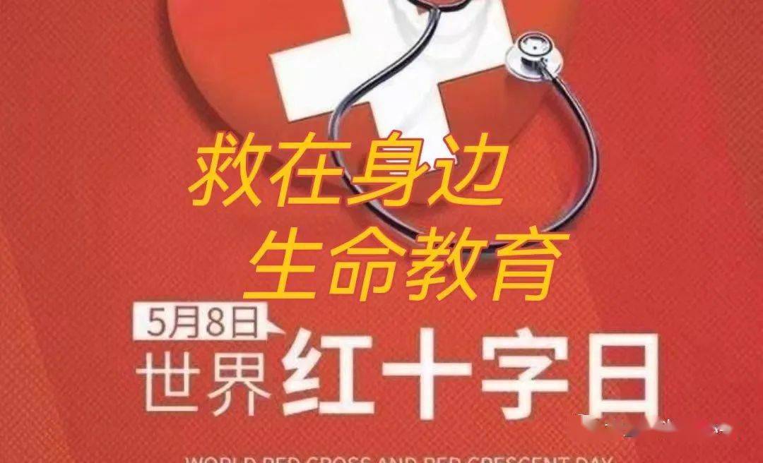 兆麟德育救在身边生命教育兆麟小学红十字博爱周活动四