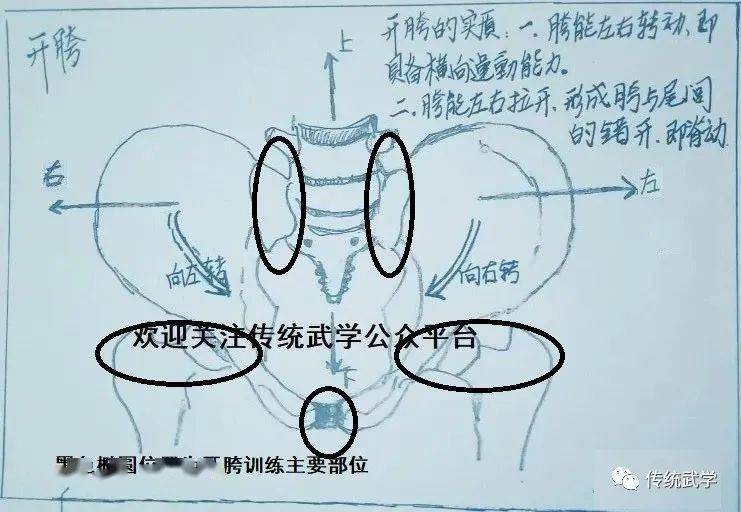 平步浑圆桩详解二结构