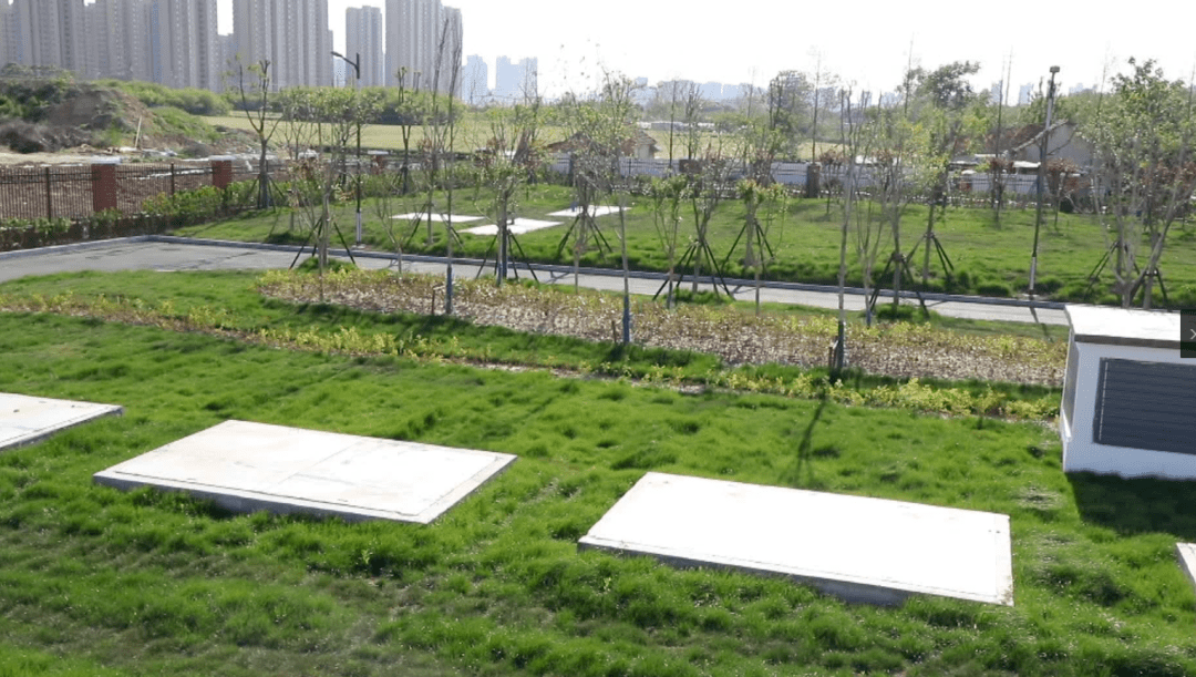 界首三大調蓄池投入使用!_河道_雨水_池建設