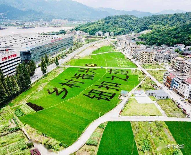 永嘉桥头镇白垟村,产城融合工业强村