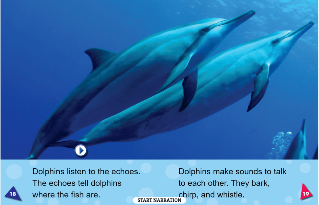 英文绘本丨dolphins海豚