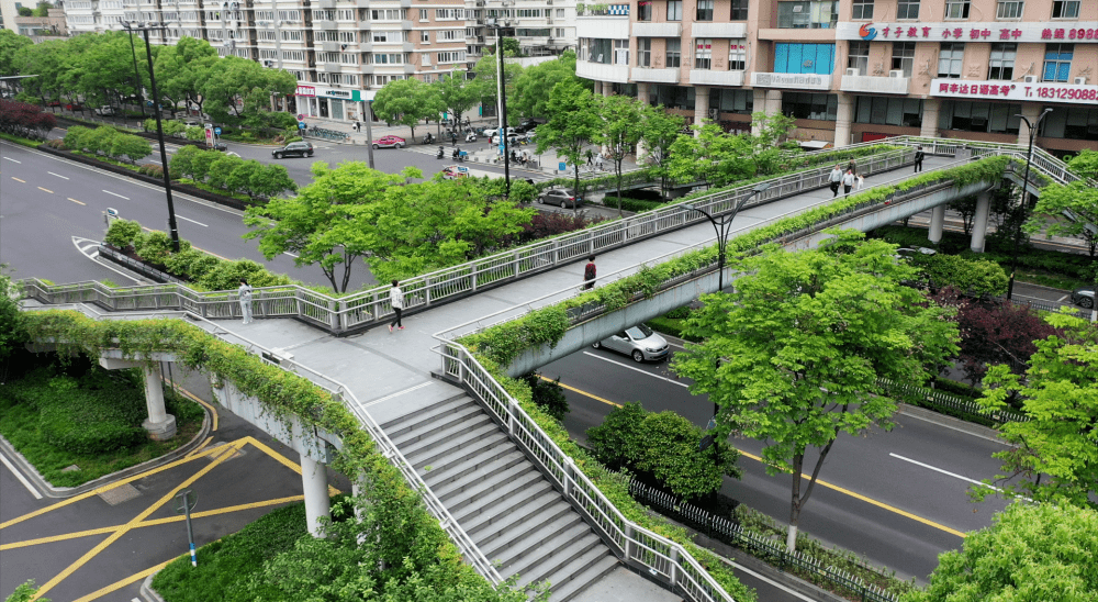 美市区多条道路过街天桥完成绿化景观提升