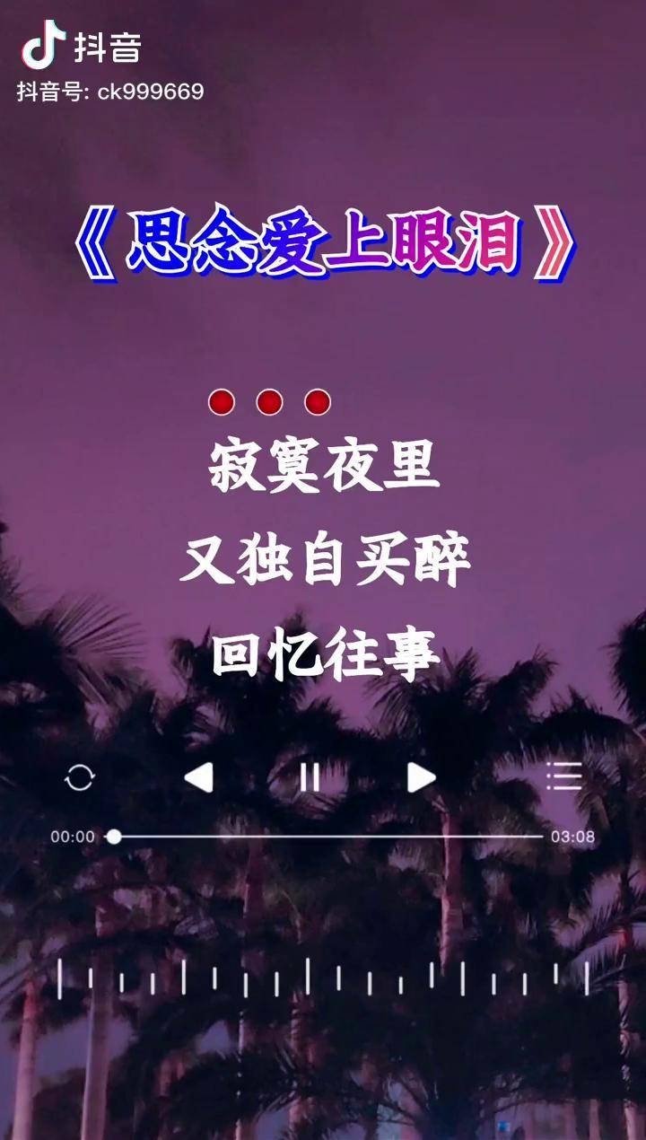 寂寞夜里又独自买醉回忆往事我痛彻心扉思念爱上眼泪听哭了伤感音乐