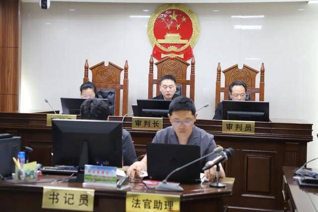 河池市发展和改革委员会党组书记,主任,中共凤山县委书记的职务便利