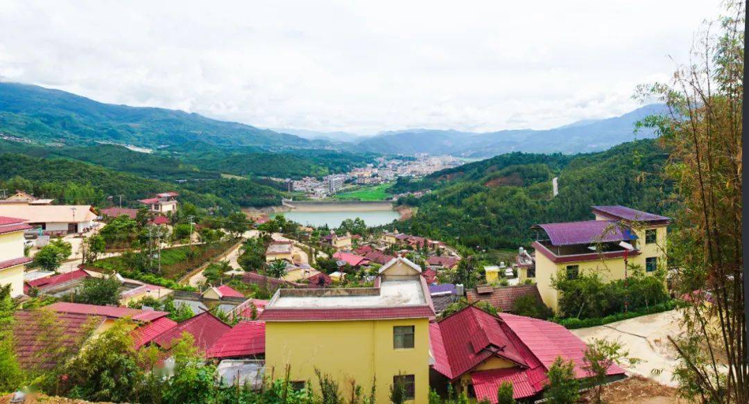 问茶临沧带你走进茶尊临沧