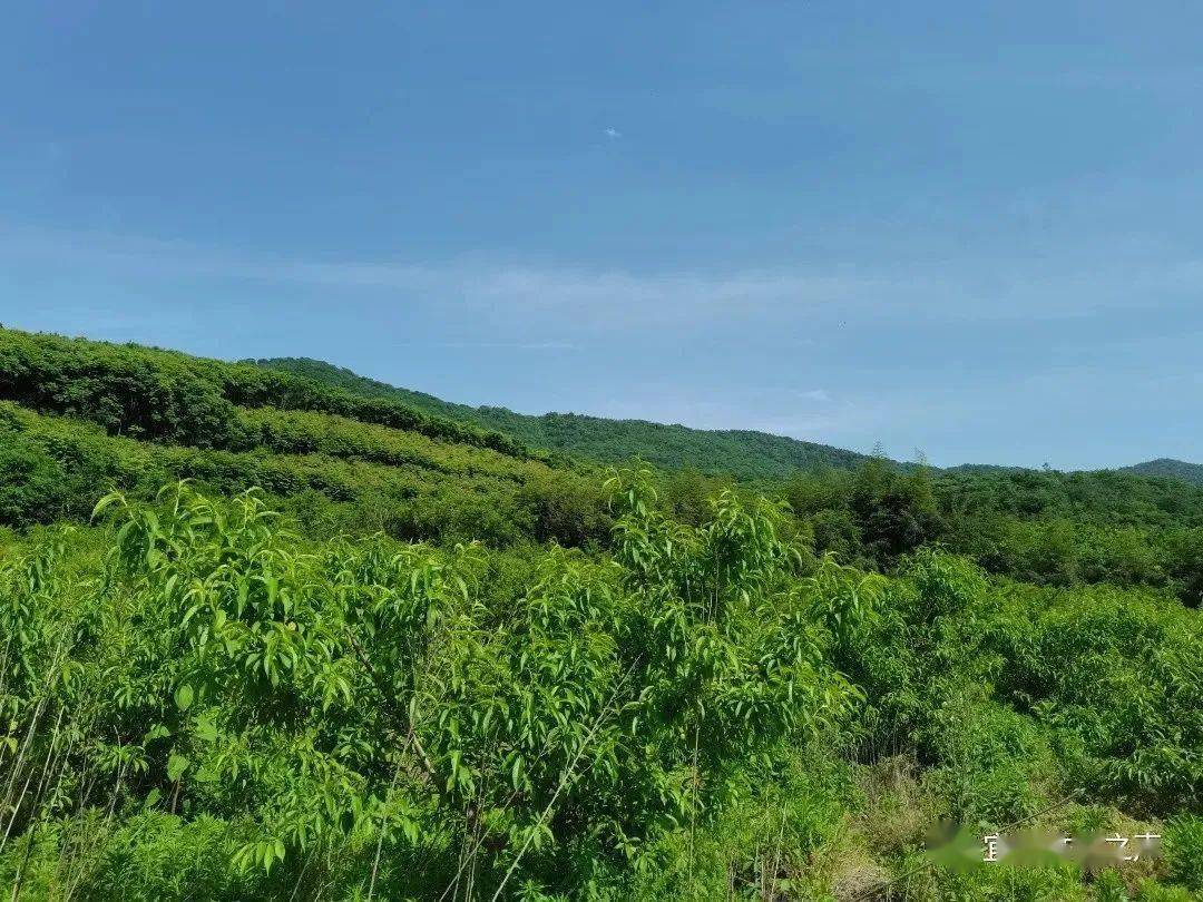 宜城大冲旅游景点介绍图片