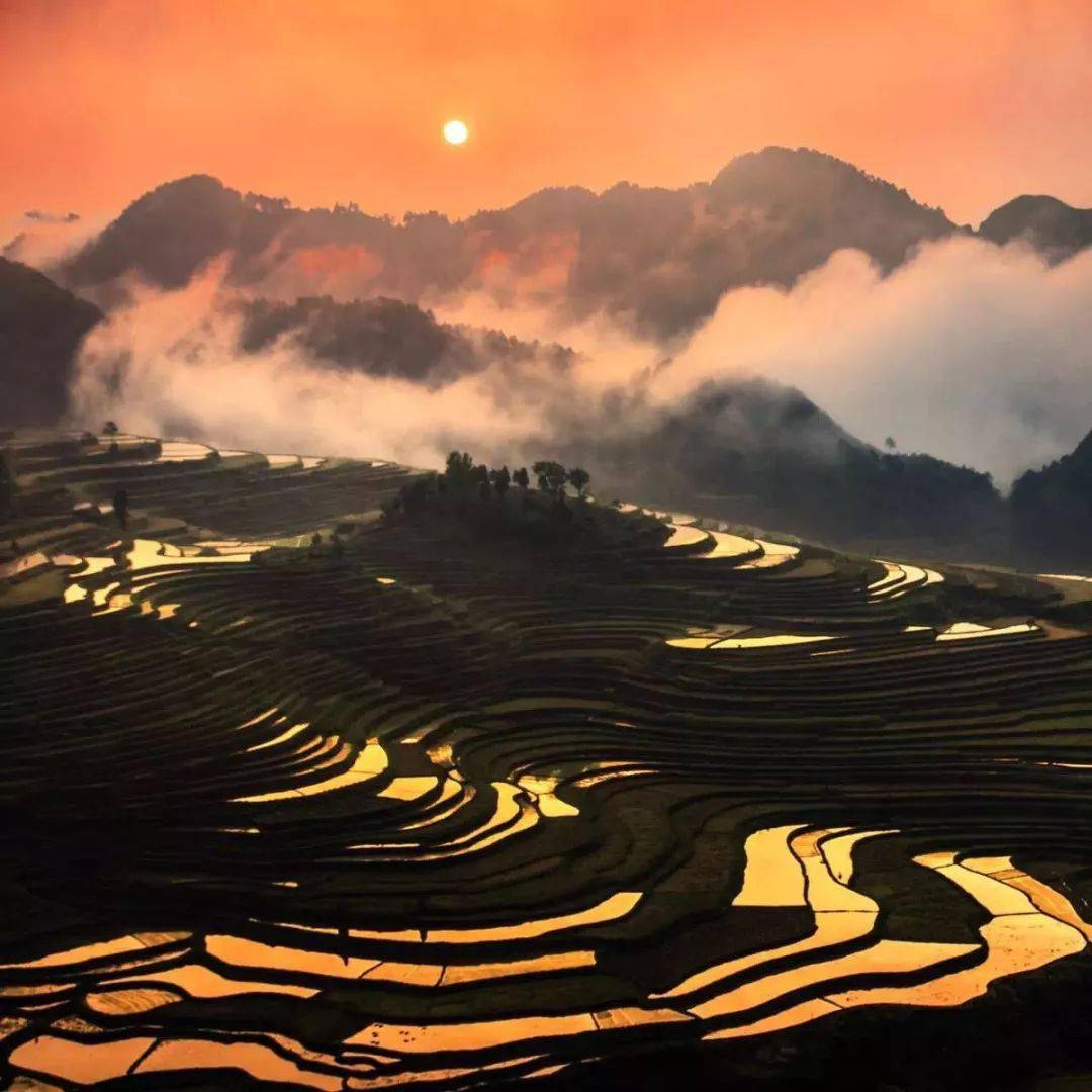 高要梯田