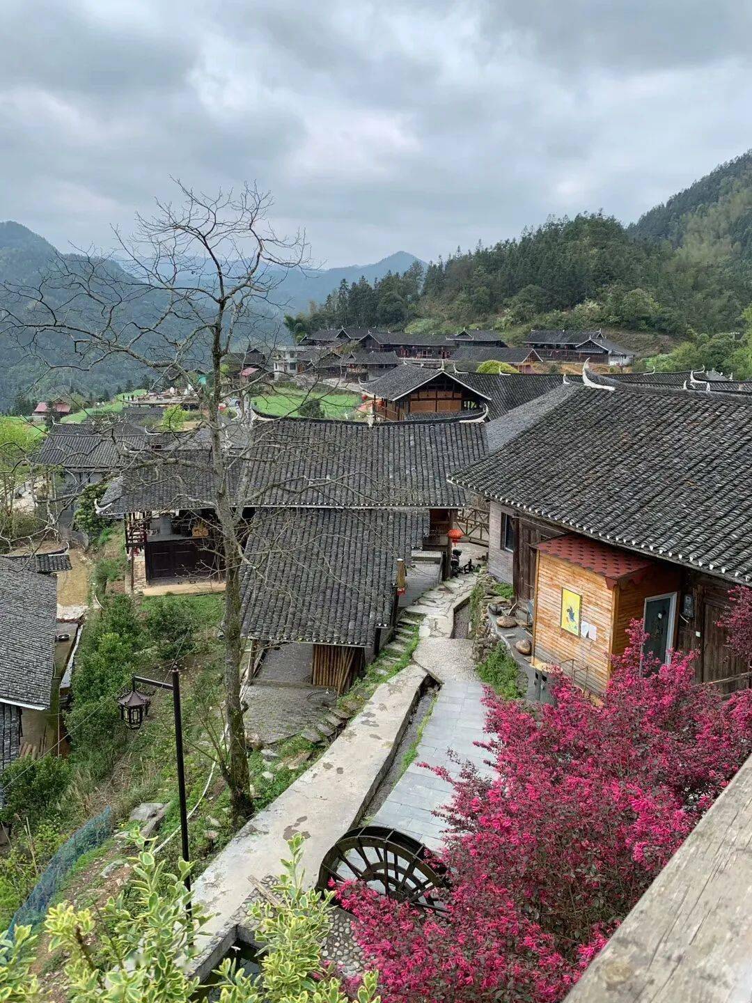 特色自駕2日秘境雪峰山楓香瑤寨網紅無邊遊池穿巖山茶馬古道雁鵝界