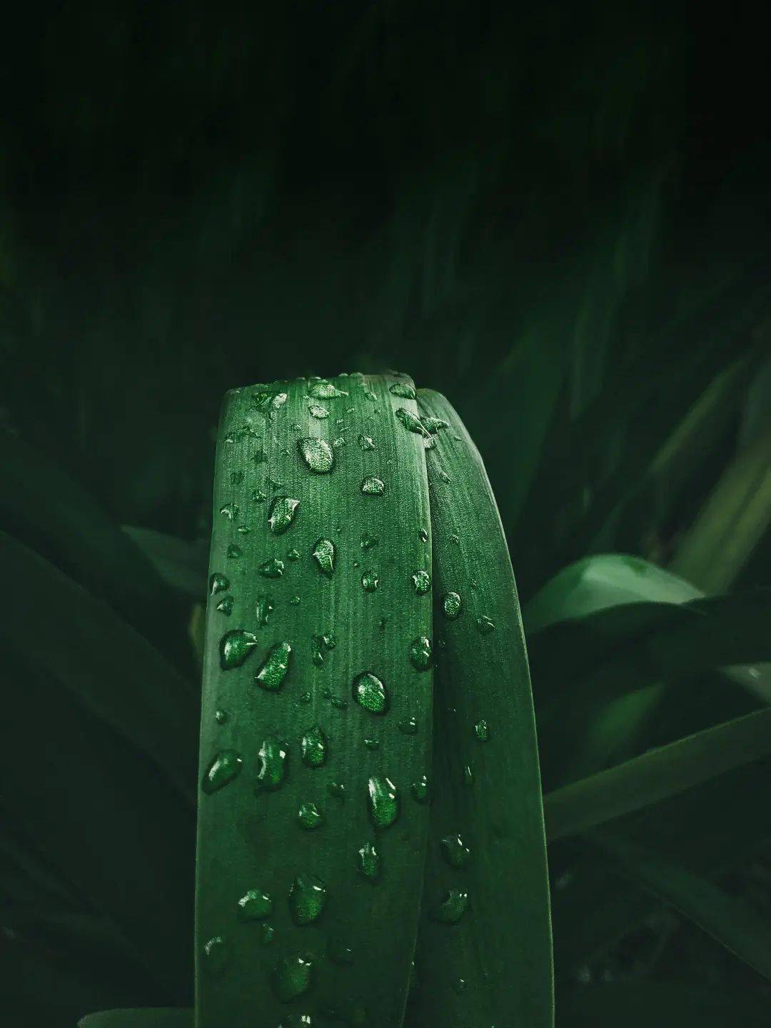 开启大风降雨降温模式