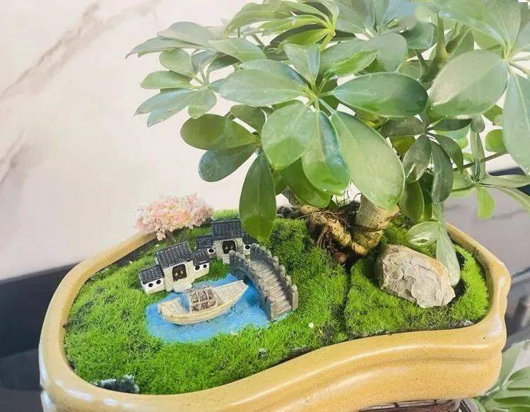 在学校的妙趣课程下,学生通过微景观手工制作掌握一定的手工劳动技能
