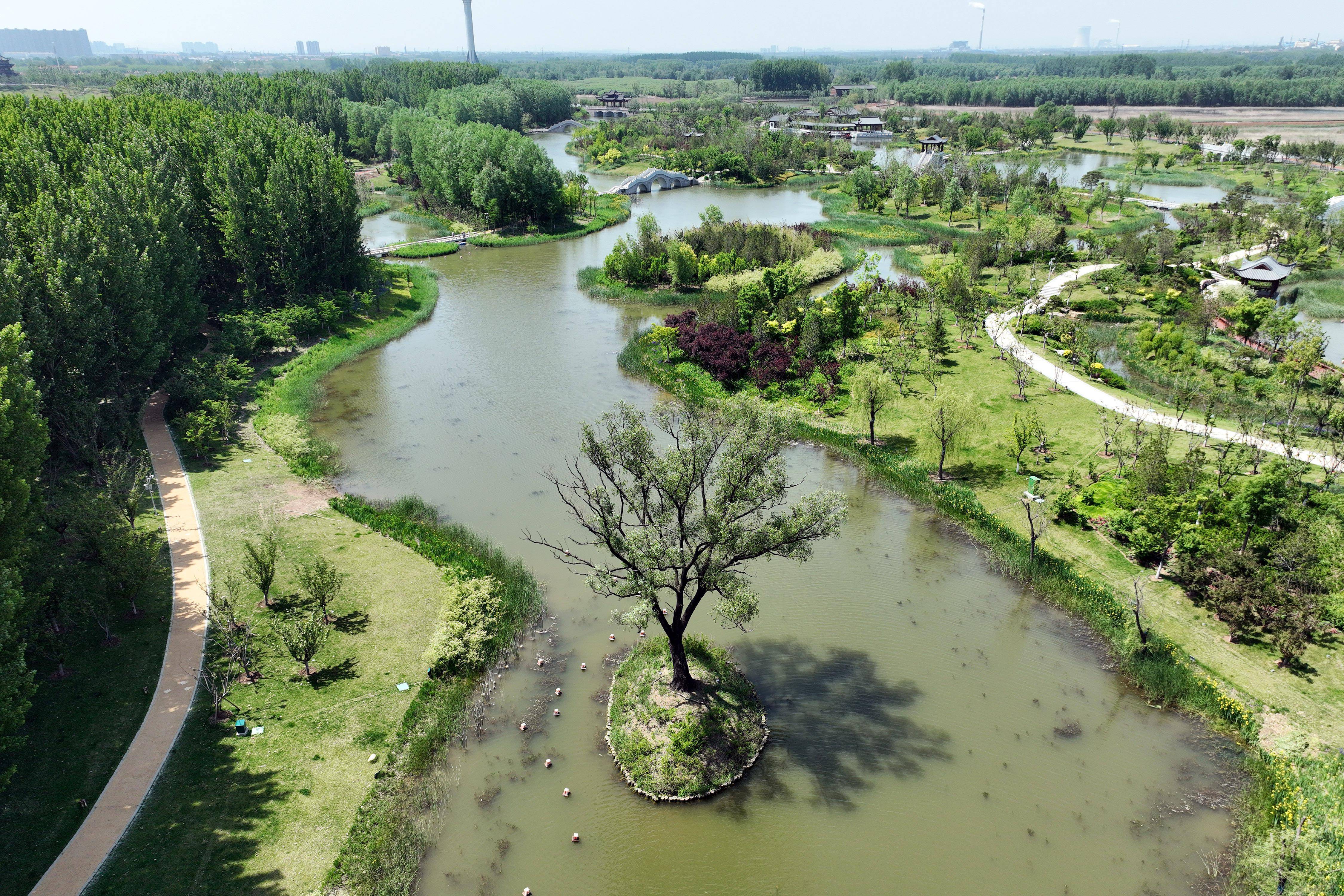漳泽湖湿地图片