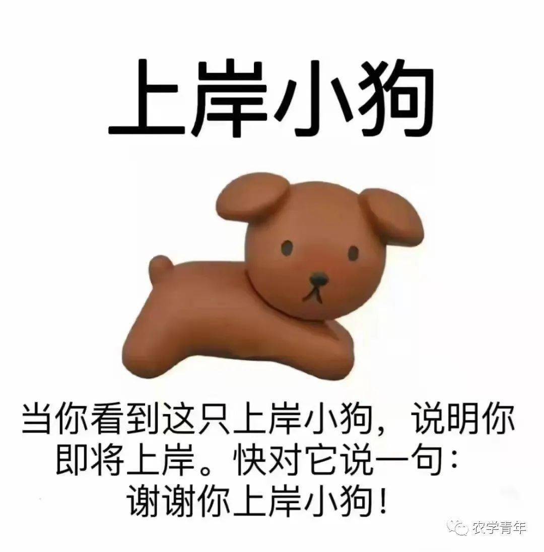 专升本,我必成功!_考试_考场_考生