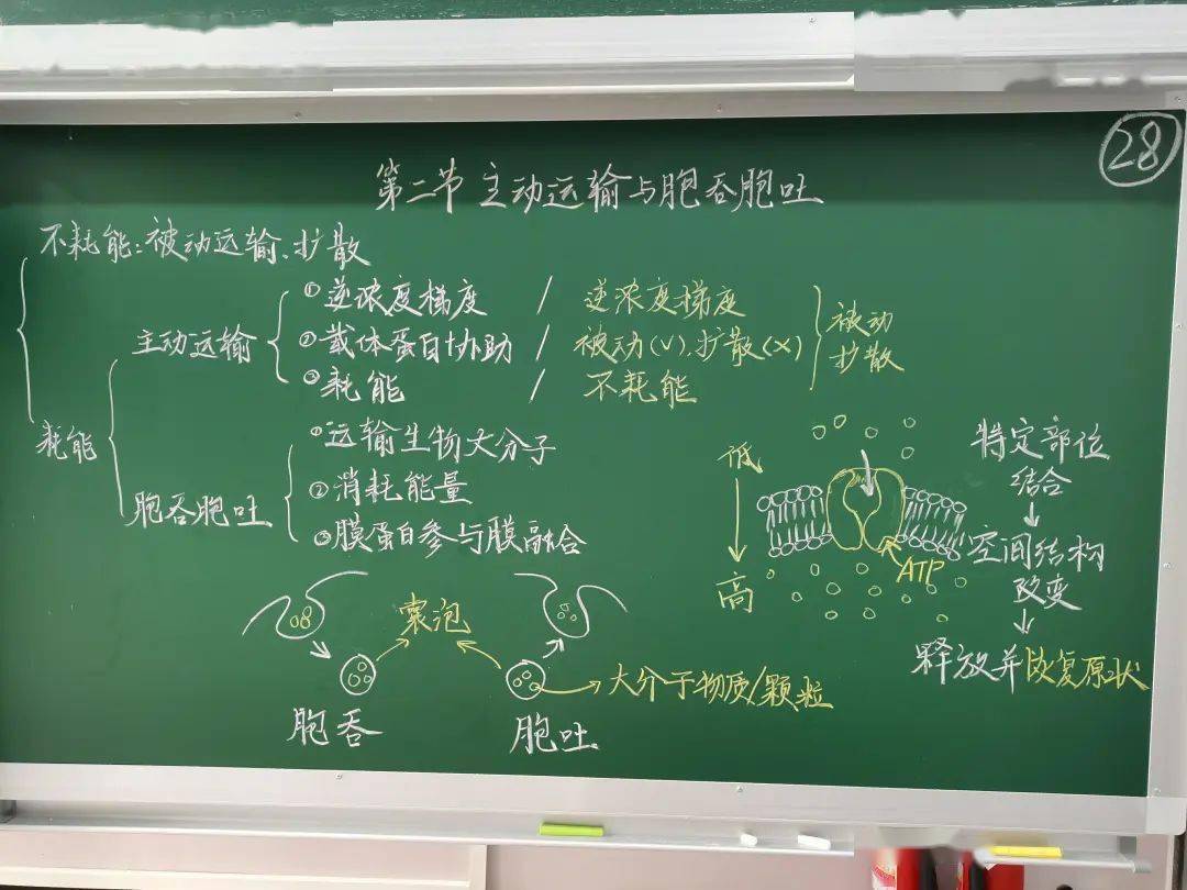 拿到教材,首先浏览需要设计板书的章节,找出该节内容的小标题和黑体