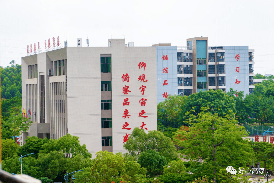 广东省高州市高州二中图片