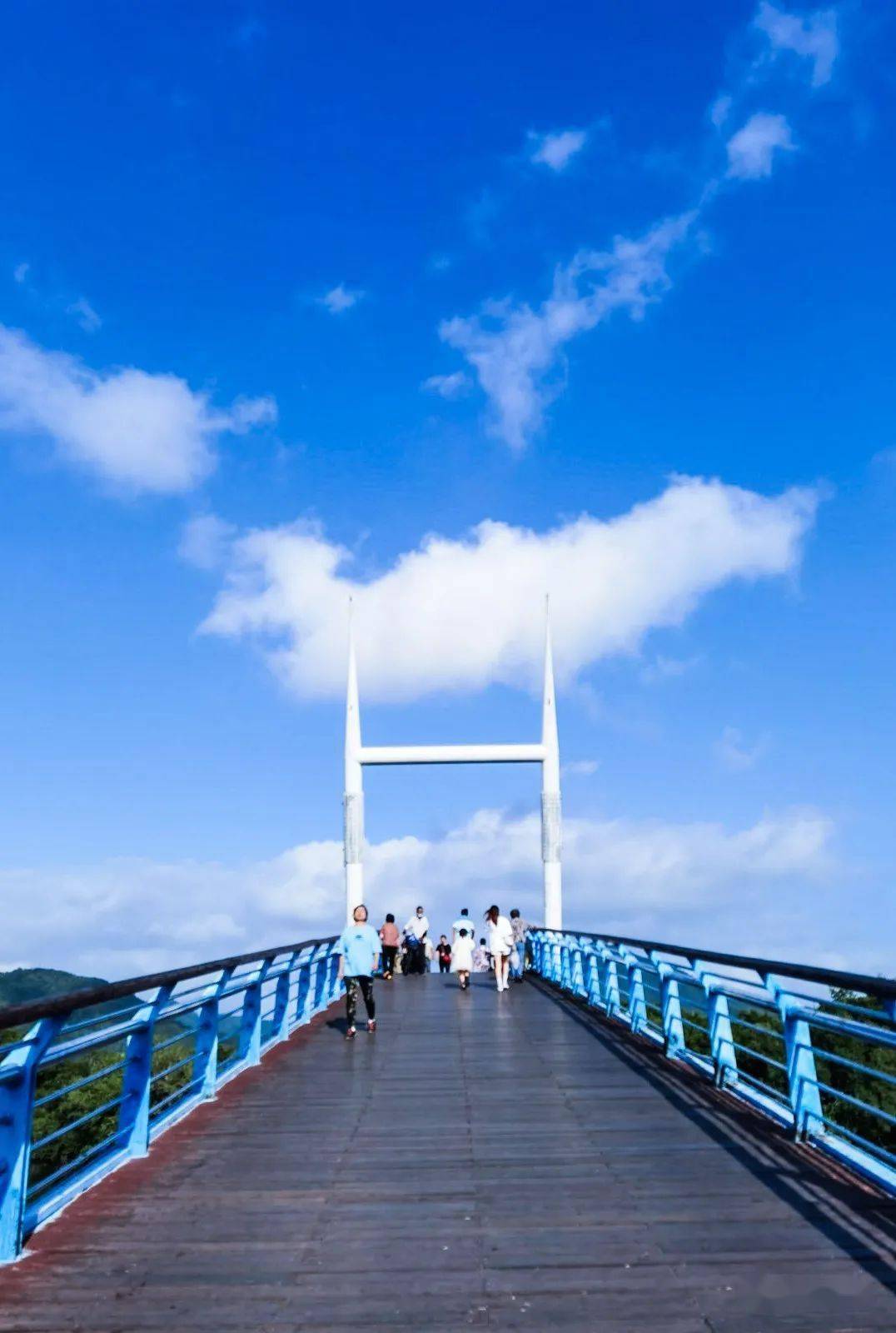 海南行41三亚白鹭公园随拍