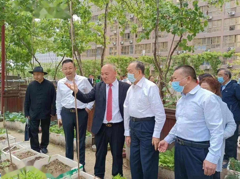 少华集团举办汶川地震义捐暨观摩城市楼顶葡萄园绿植活动