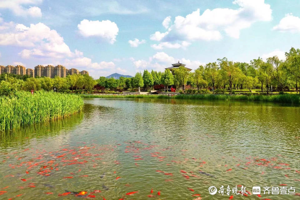 蓝天白云下章丘高颜值再现