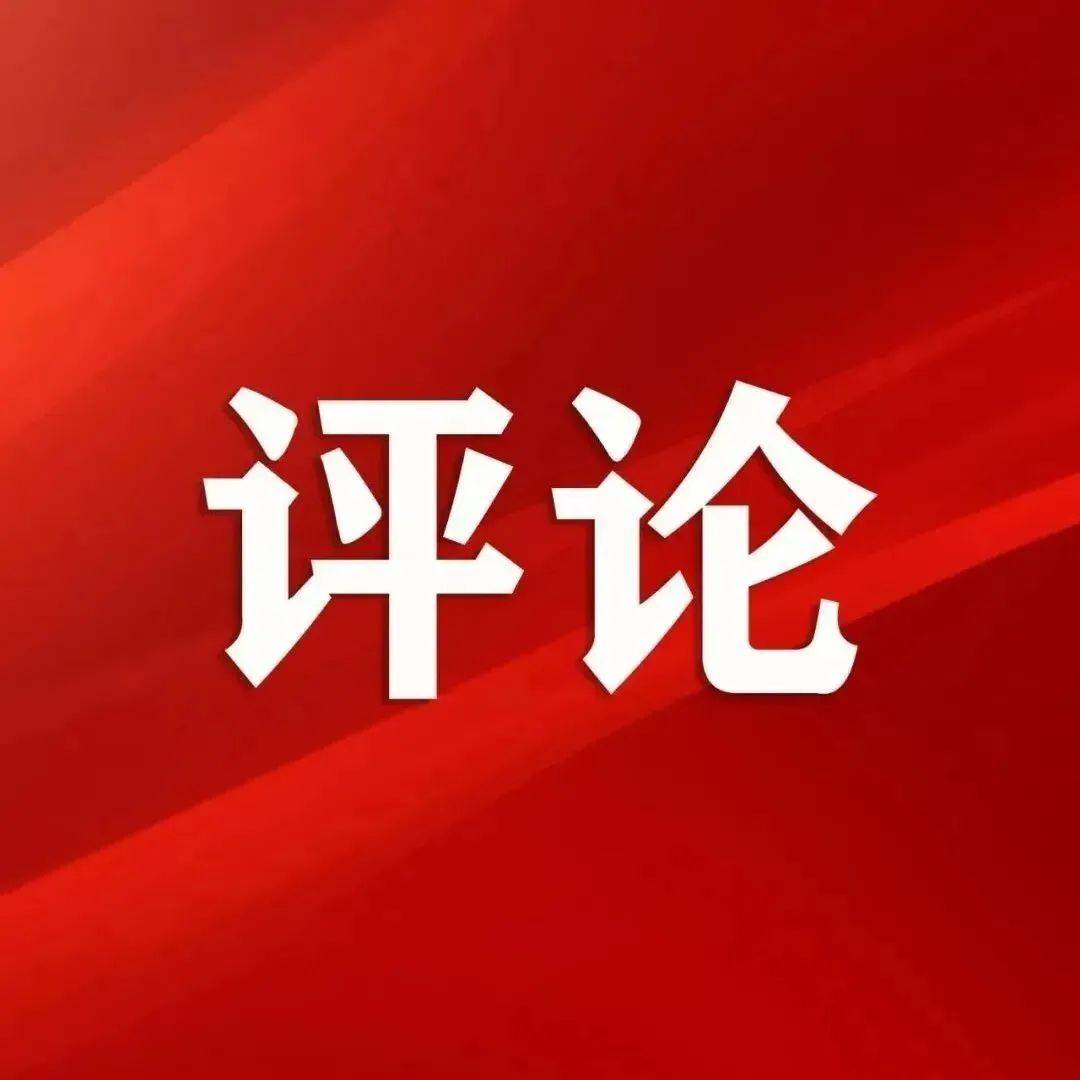 评论的观点
