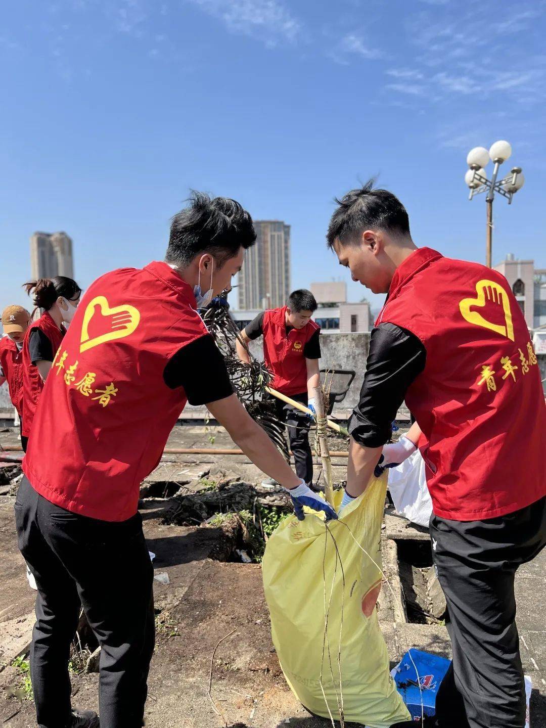 青年志愿者在行动楼道行动助力创城攻坚三