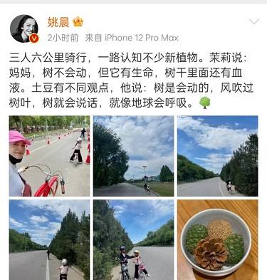 姚晨可太骄傲了 带儿女骑车出行 兄妹俩思维暴露 理科生文科生都占了 茉莉 土豆 小朋友