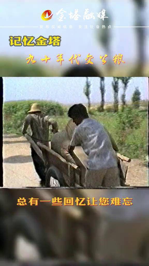 记忆金塔九十年代交公粮难忘的回忆怀旧时光