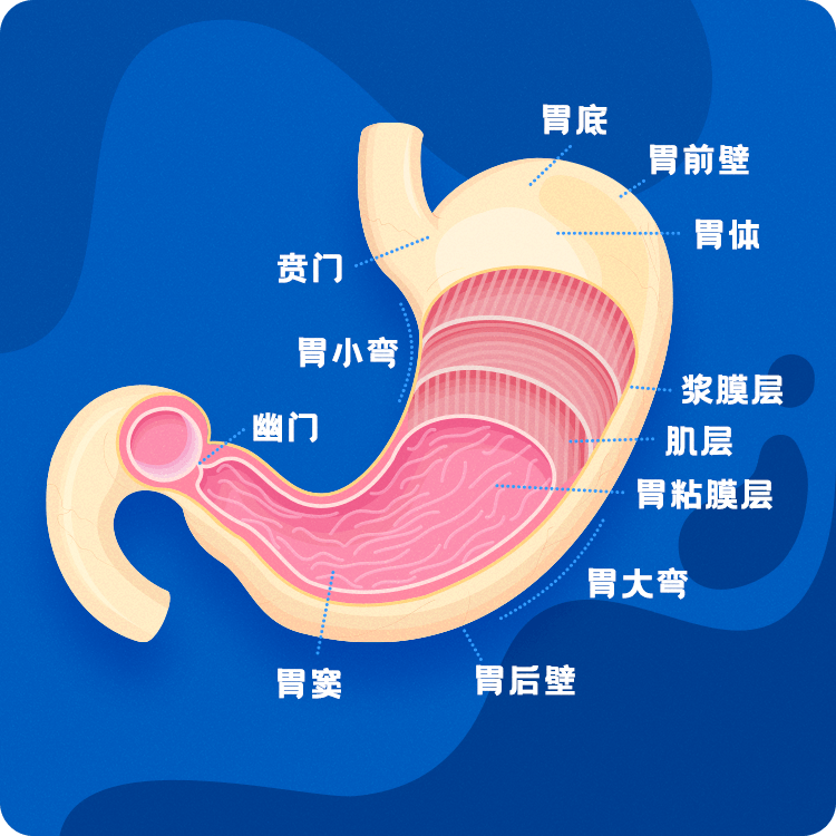 睡前不可或缺的