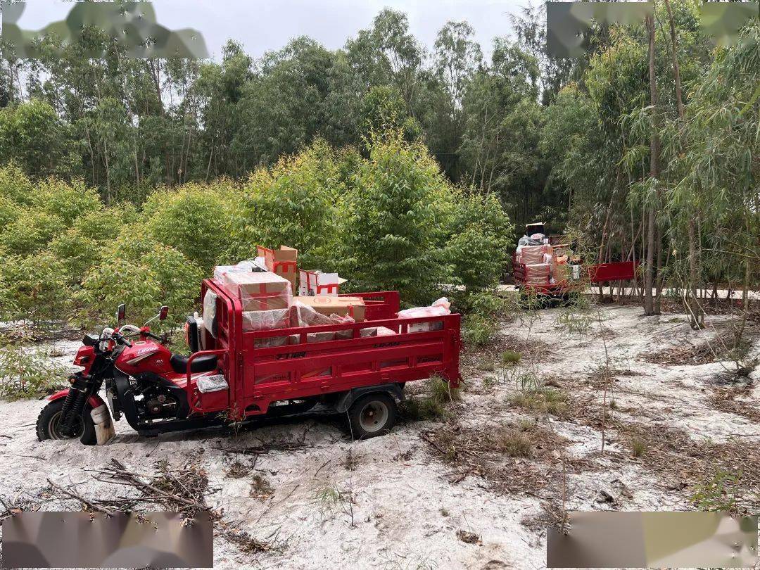 菸草局在銀海區福成鎮沙頭村段海堤旁紅樹林內查獲一批疑似走私香菸