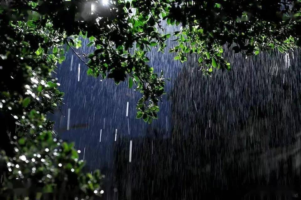 七律61雨夜闲吟