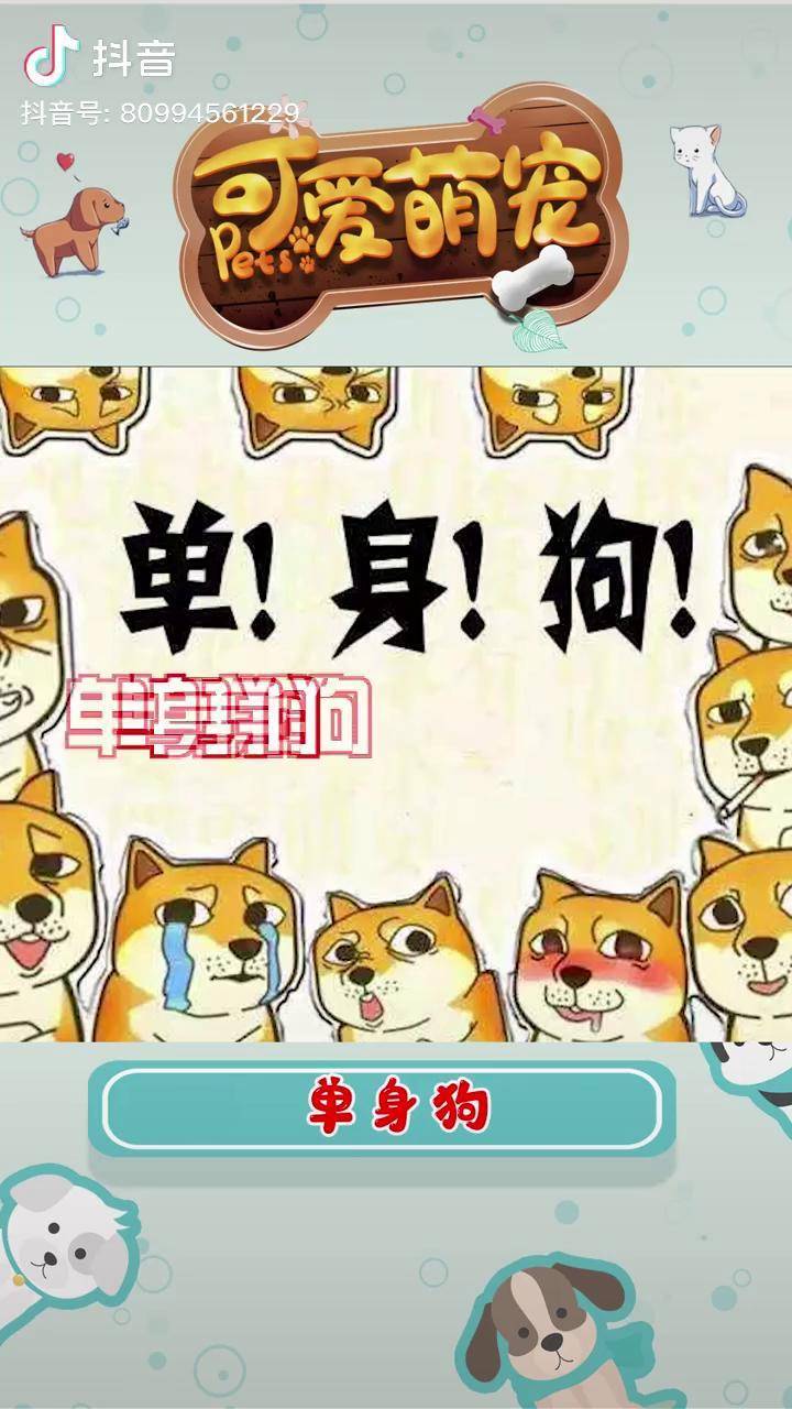 单身怎么了单身又没吃你家大米我是单身狗神奇动物在抖音狗狗单身狗