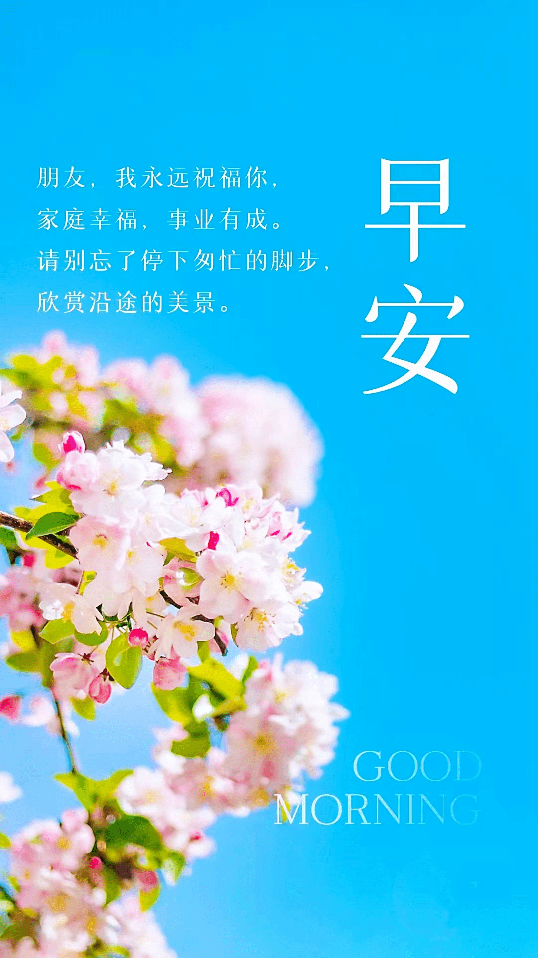 早安寄语图片