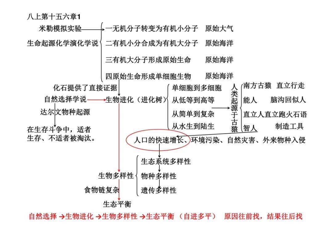 初中生物知識點思維導圖複習專用轉給孩子附電子版