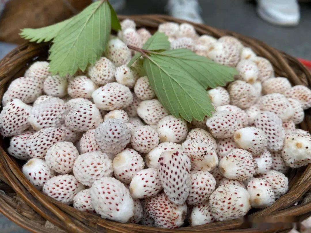 略阳人冲鸭瓢儿又进城了