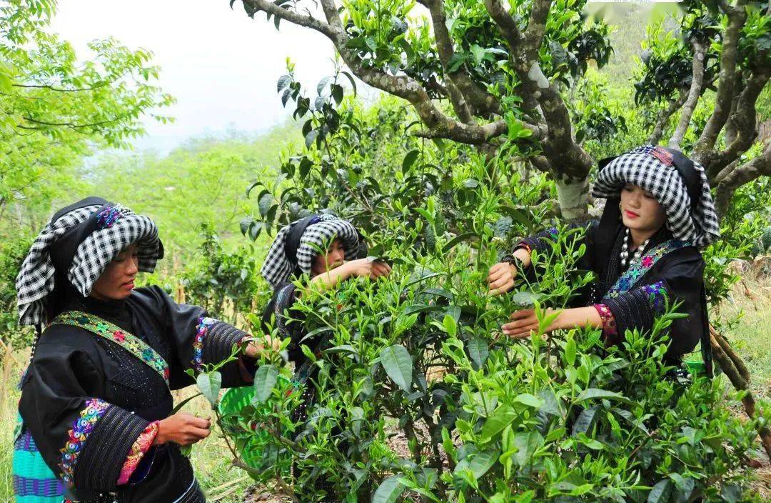 创建全国民族团结进步示范市乌木龙乡团结奋进迈向更美好的生活