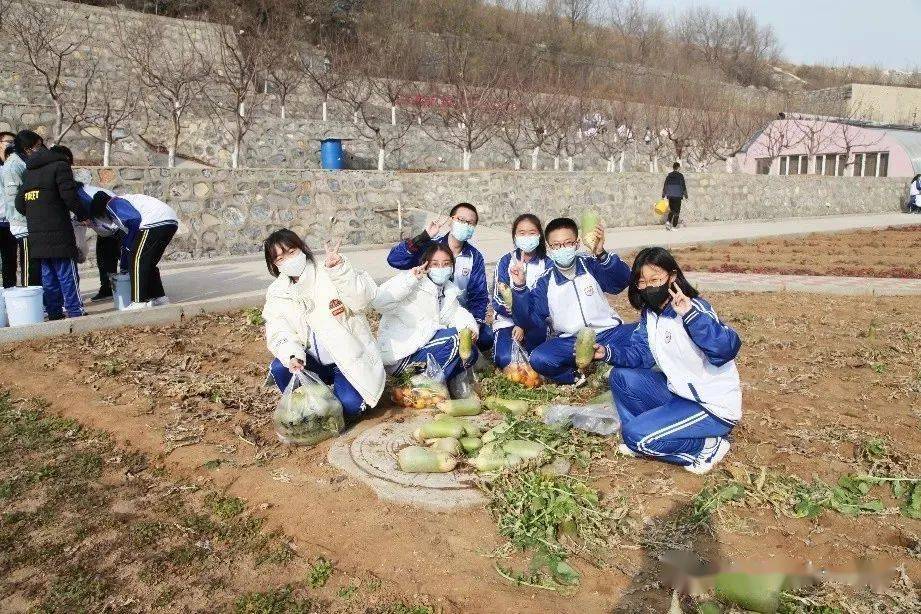 滨城探校丨大连市第十一中学:学生发展指导助力多元成长