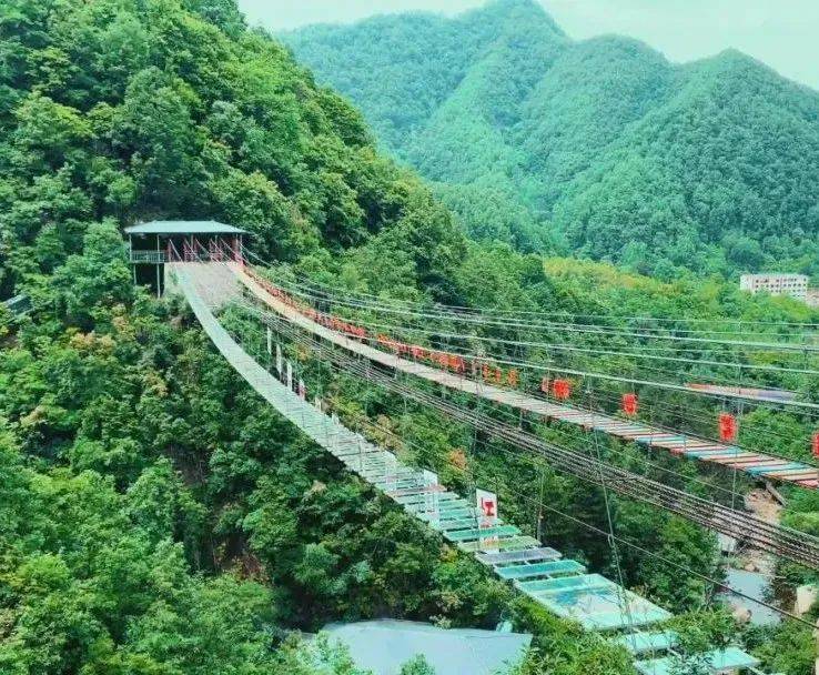 中国旅游日 | 老君山任性免门票啦！