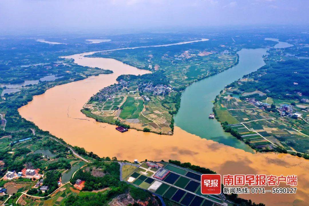 呈现绿色的是右江江水颜色明显呈黄色的是左江南国早报记者在三江口